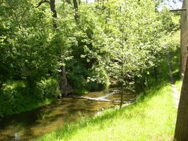 Botič 1 - Křeslice - květen 2005 (2).jpg